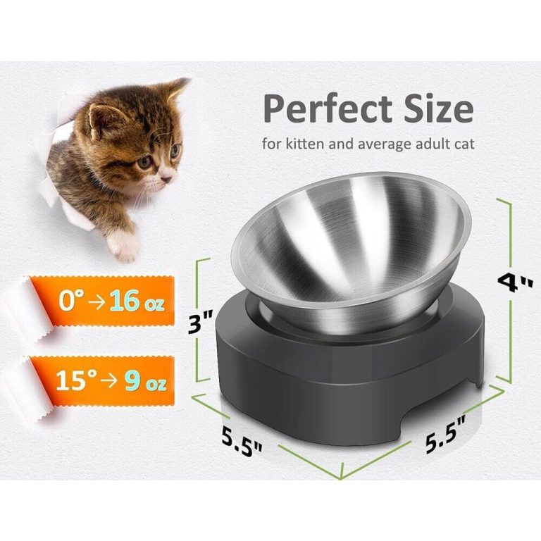 Stainless Steel AntiVomiting Cat Bowl