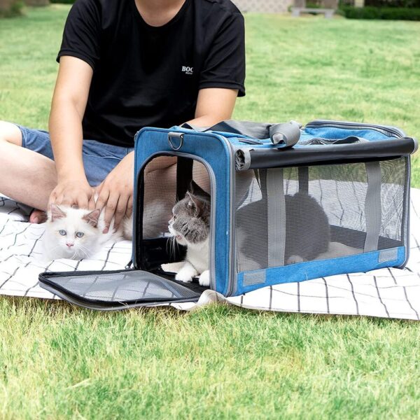 Hassle-Free Vet Visit Large Cat Carrier –