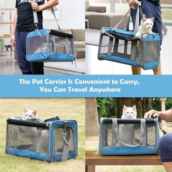 Hassle-Free Vet Visit Large Cat Carrier –