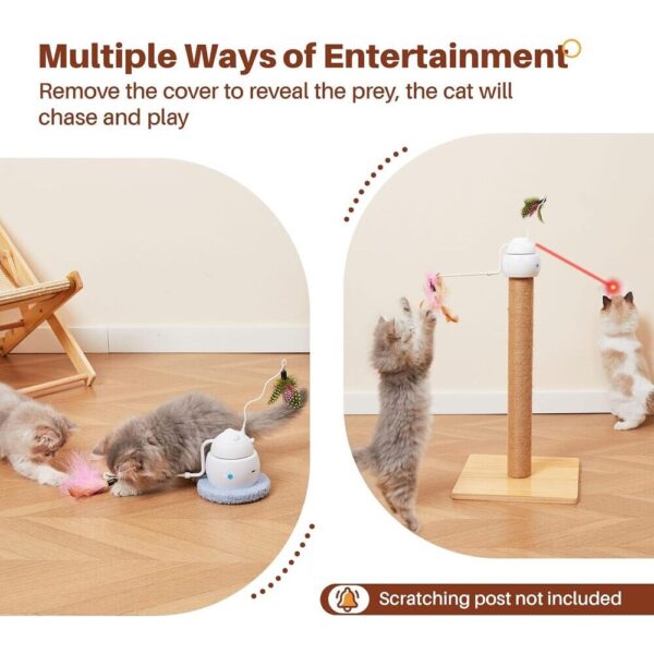 Potaroma 3-in-1 Hide-and-Seek Cat Toy